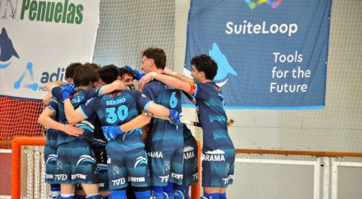 Primeros ascensos en las ligas nacionales de hockey patines!
